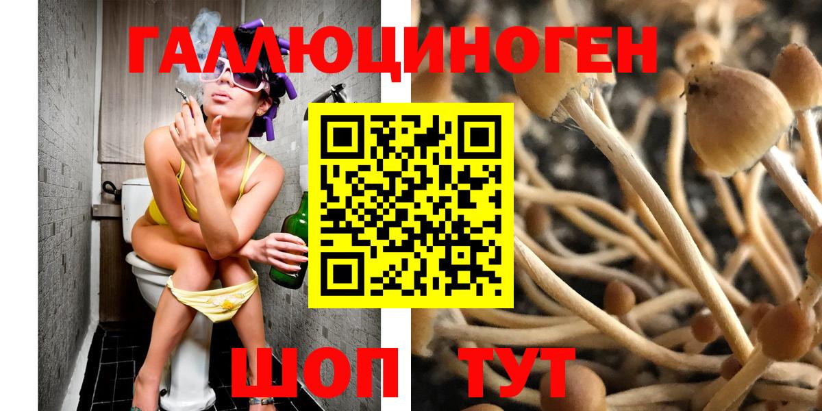 Галлюциногенные грибы мицелий  Вход с VPN  Калининград  Галлюциногенные грибы Magic Shrooms 